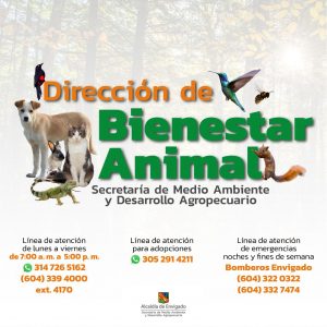 Bienestar Animal